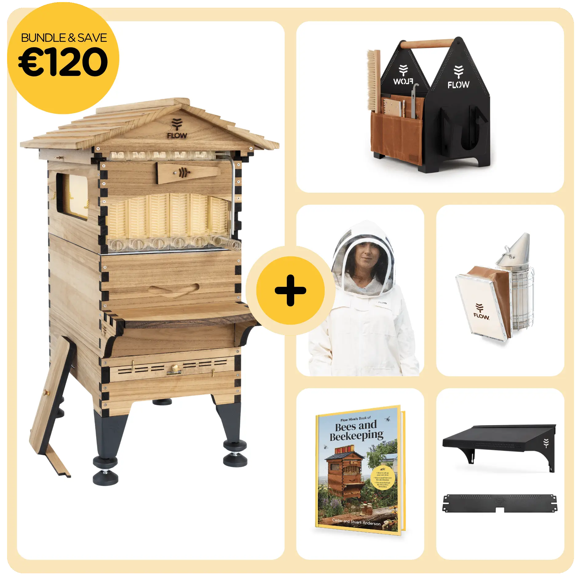 Coupon - Black Friday 22